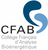 Formation d&rsquo;Analyse Bioénergétique sur l&rsquo;île en 2027